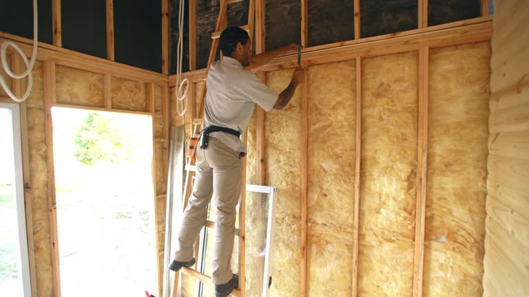 Trusted Shady Hills, FL Insulation Installation & Removal Experts