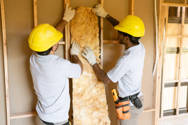 Types of Insulation We Offer in Shady Hills, FL